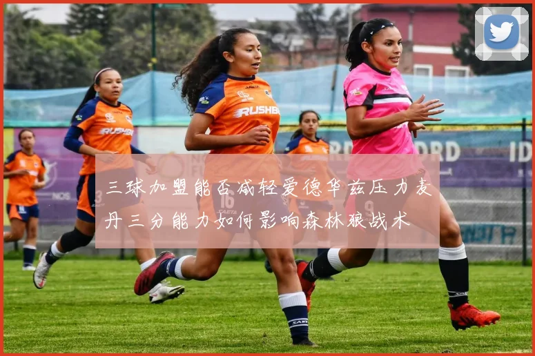 三球加盟能否减轻爱德华兹压力麦丹三分能力如何影响森林狼战术