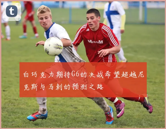 白巧克力期待G6的决战希望超越尼克斯与马刺的预测之路